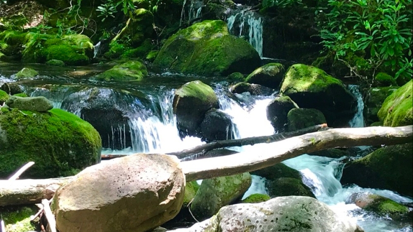 cascading waterfalls of forney creek
